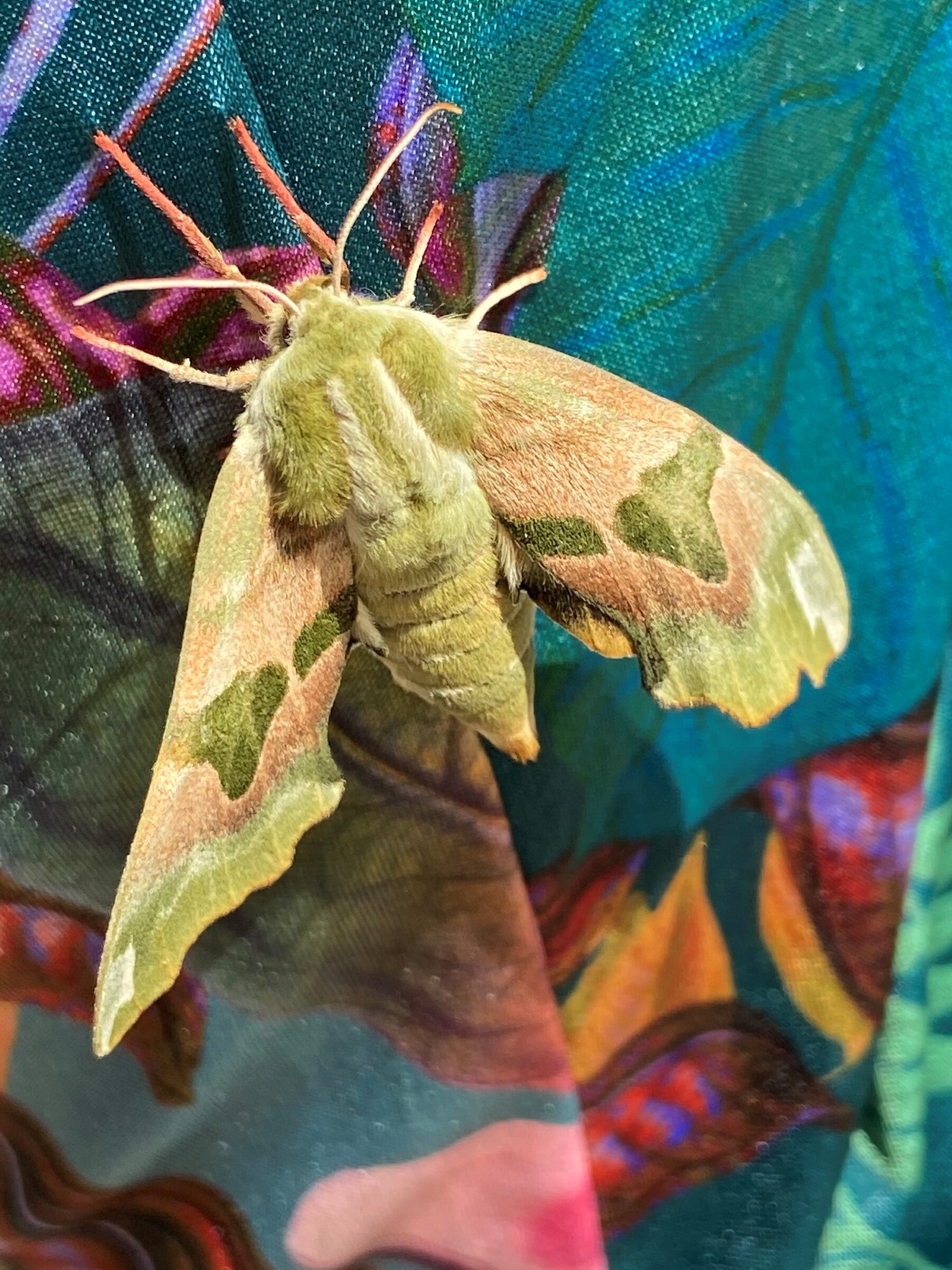 Min Tilgang Til Terapi som Integrativ Terapeut i Fårevejle i Odsherred